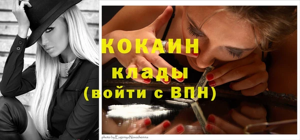 сатива Арсеньев