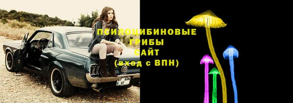 сатива Арсеньев