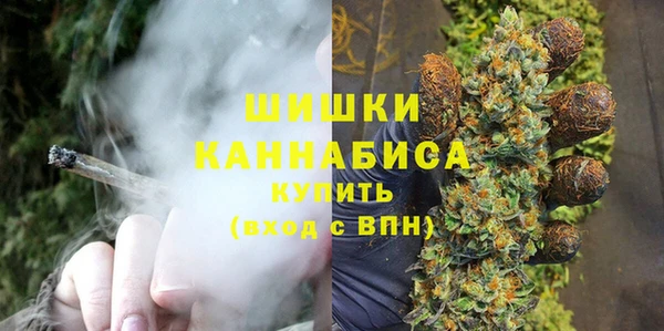 сатива Арсеньев
