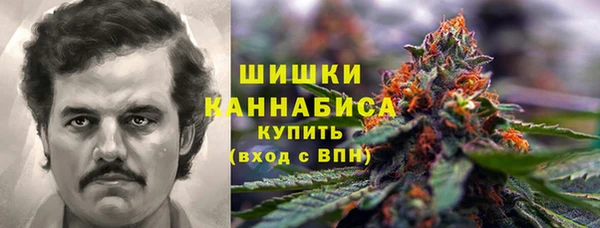 сатива Арсеньев