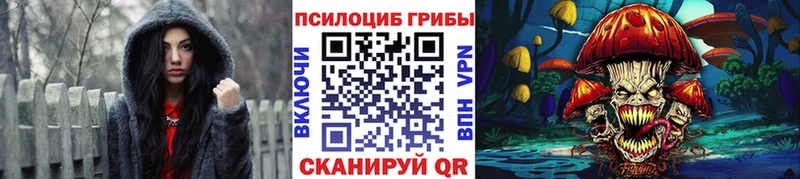 Псилоцибиновые грибы мухоморы  купить закладку  блэк спрут ONION  Верхний Тагил 